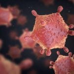 Adenoviral Particles