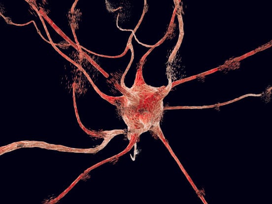 Apoptosis Kits detect and quanitfies cell death