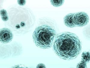 Exosome Isolation Kits 038 Products