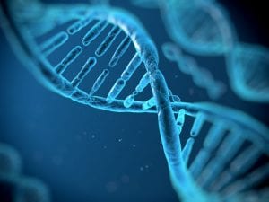 TrueClone FullLength cDNA Clones