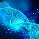 TUNR Flexible Gene Editing System