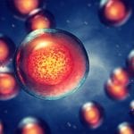 Synthetic mRNA for iPS Cell Generation