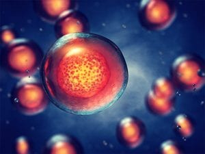 Synthetic mRNA for iPS Cell Generation