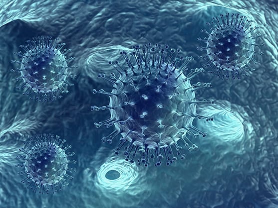 Custom Adenovirus Production Service offered by AMS Biotechnology