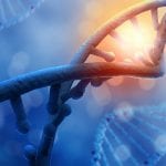 CRISPRCas9 Genome Editing Products