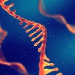 RNA STAT60