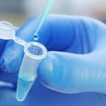 HeavyLabeled FullLength Proteins as MS Standards