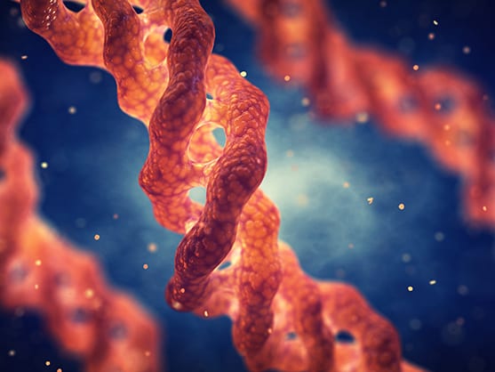 Custom Mammalian Protein Expression service offered by AMS Bio