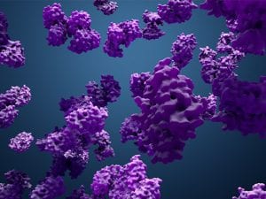 Protein Phosphatases
