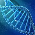 Aptamers