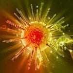 Signaling Pathway Reporter Lentivirus