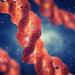 Collagen Induced Arthritis