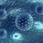 Lentiviral Particles