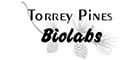 torrey_pine