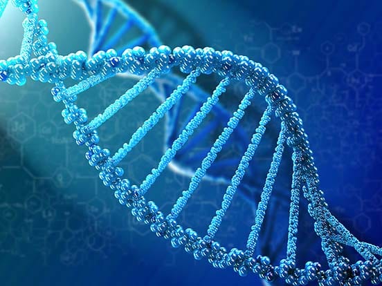 TrueORF cDNA Clones