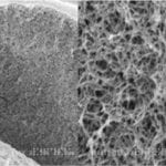 Cellufine MAX Ion Exchange Chromatography Media
