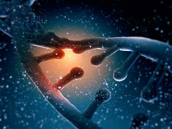 Epigenetics Research Products 038 Applications