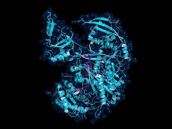 HuSH29 shRNA Vectors