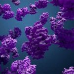Biotinylated Proteins