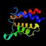 Bromodomains
