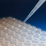MagSi Magnetic Beads for Genomic Applications