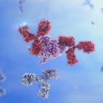 TrueMAB Monoclonal Antibodies