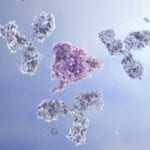 Host Cell Protein ELISA Kits