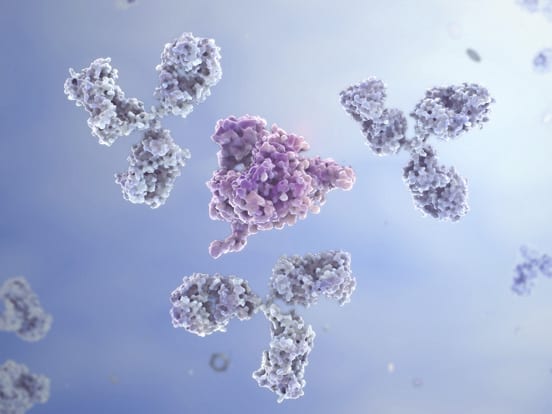 Host Cell Protein ELISA Kits