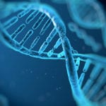 Assay Kits and Proteins for Drug Discovery