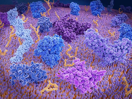 Immunotherapy