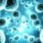 Luciferase Assay Systems