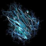 Cytokines and Growth Factors