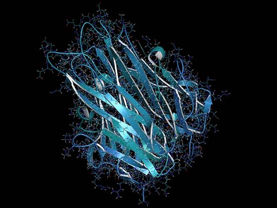 Cytokines and Growth Factors