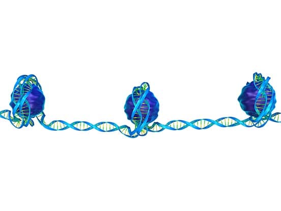 Histone Acetylation