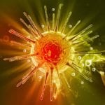 Lentiviruses for SARSCoV2 038 COVID19 Research