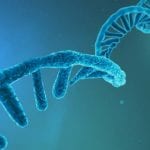 NASBA Kits 038 Reagents for RNA Detection