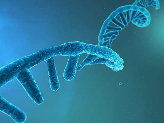 NASBA Kits 038 Reagents for RNA Detection