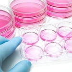 Animal 038 EndotoxinFree Growth Factors 038 Cytokines