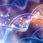 cfPure Cell Free DNA Extraction Kit