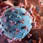 SARSCoV2 and COVID19 Recombinant Proteins and Antibodies