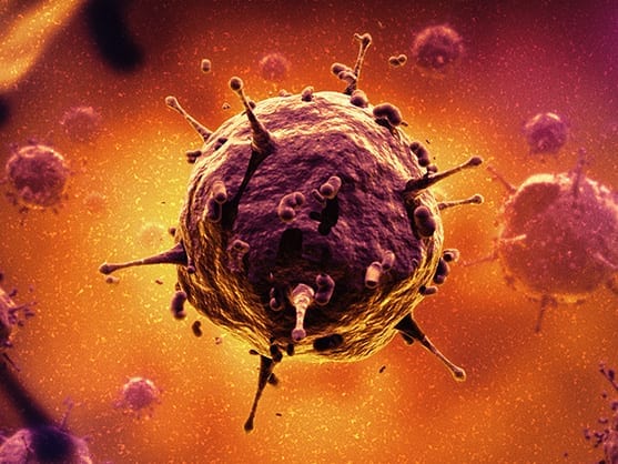 Lentivirus 038 Adenovirus 038 AAV
