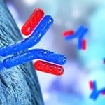 Biosimilar Antibodies