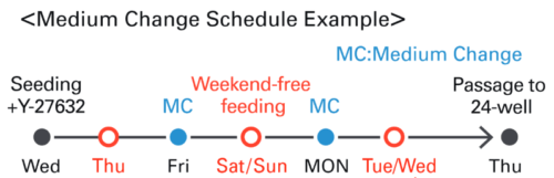 Weekend free culture stem fit