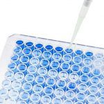 Glycosaminoglycan ELISA Kits