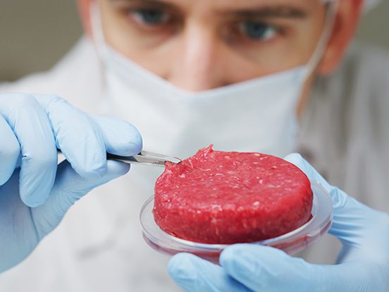 Cultured Meat Products