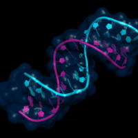 post krebs nucleotide