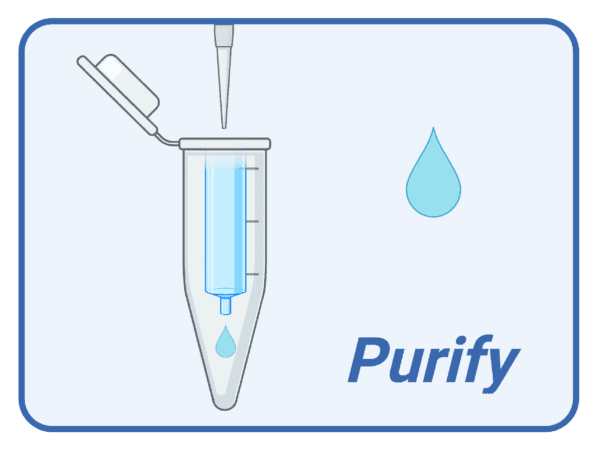 RNAssure 8211 Protection for purified RNA