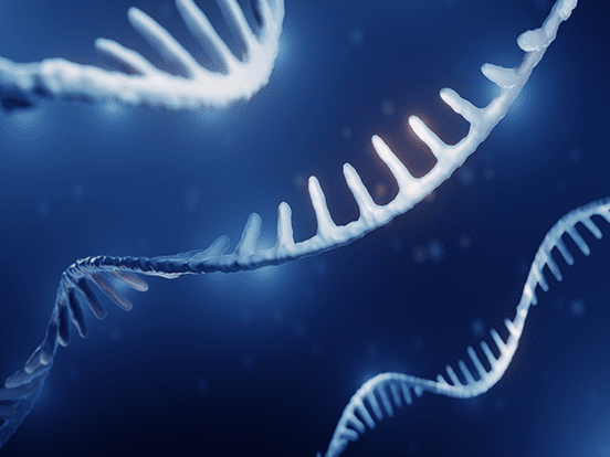 RNA Stabilization 038 Protection