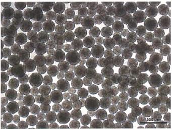 figure 1 ABLE Bioreactor