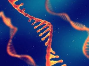 Stable Ambient RNA